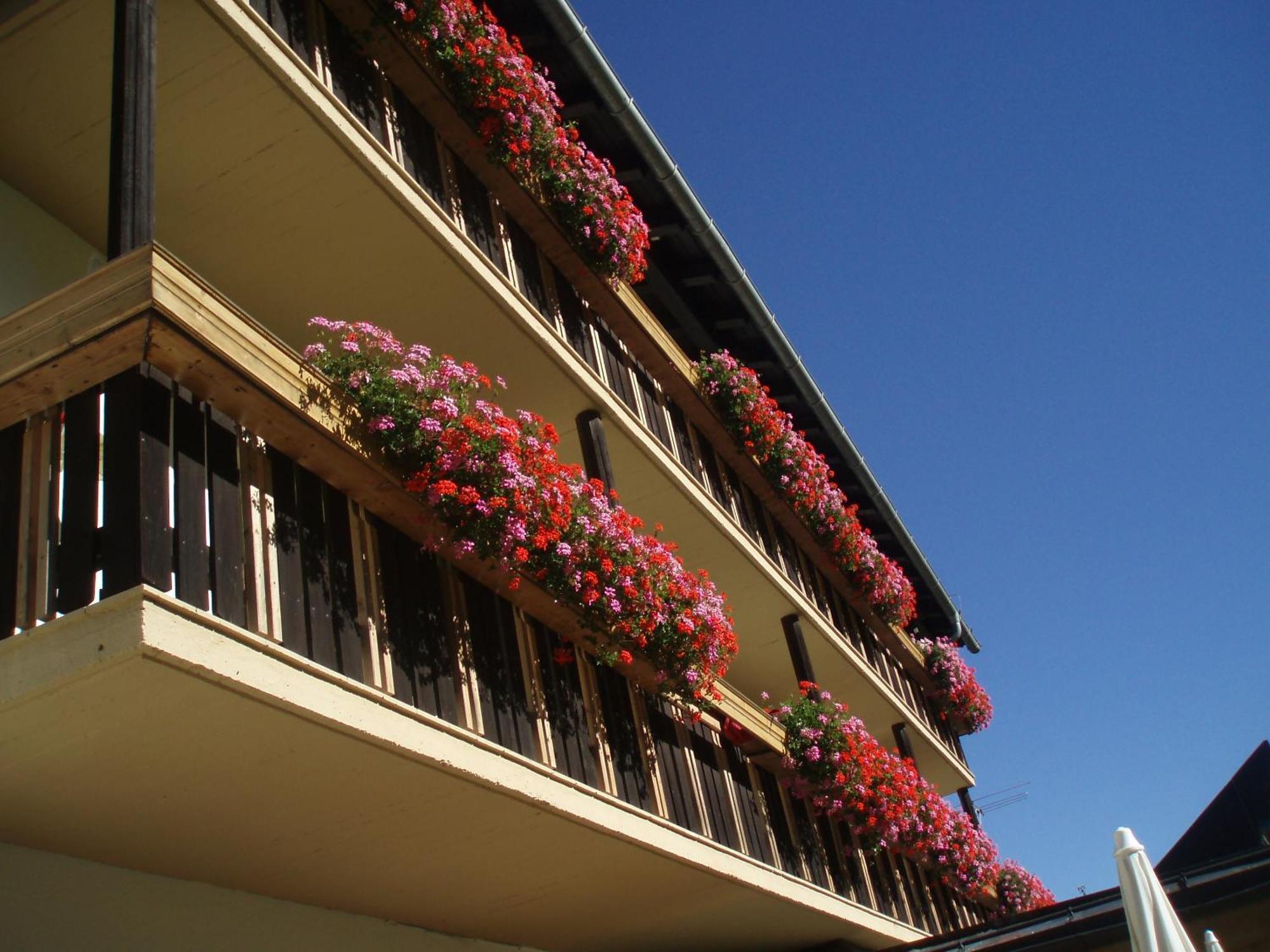Laerchenhof Sankt Jakob in Defereggen Exterior foto